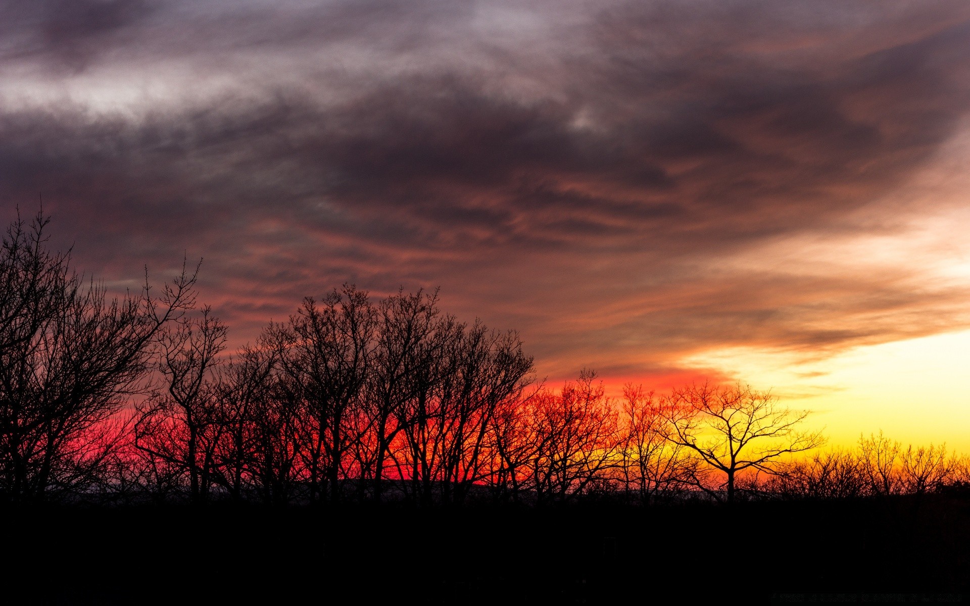 the sky sunset dawn evening landscape sun nature dusk sky tree silhouette backlit weather outdoors fog fair weather light fall dark