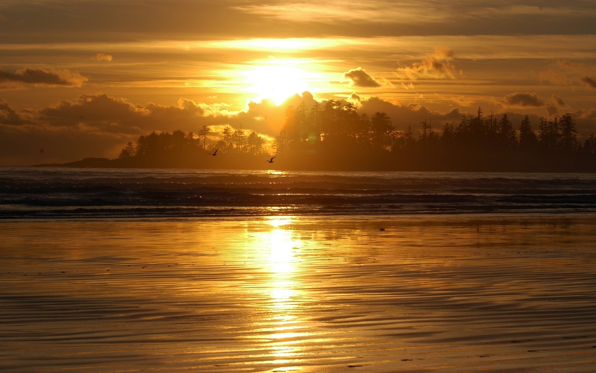 cielo tramonto sole alba acqua crepuscolo spiaggia sera bel tempo mare oceano estate riflessione paesaggio freddezza