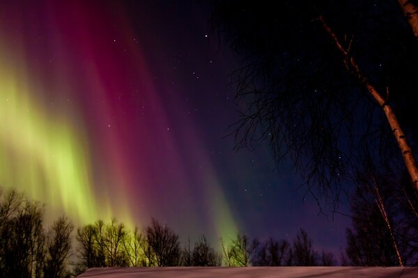 Aurora boreal en el cielo nocturno