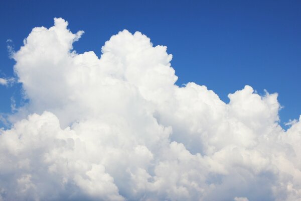 Flauschige, schneeweiße Wolken am blauen Himmel