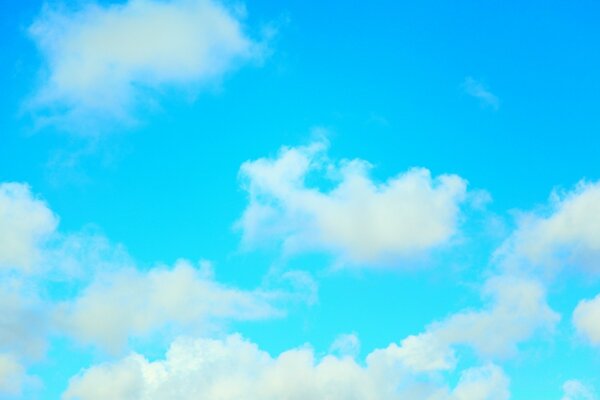 Nuvens de penas no fundo do céu azul