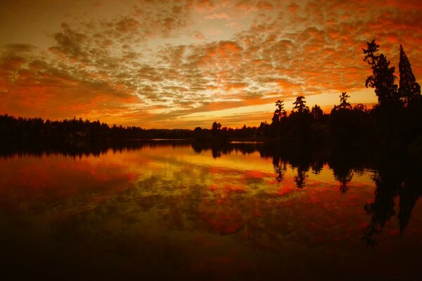 Puesta de sol en el reflejo del lago del bosque