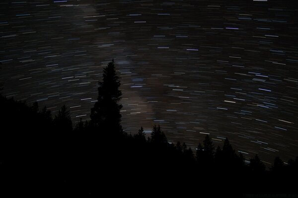 O ciclo das estrelas no céu noturno sobre uma floresta