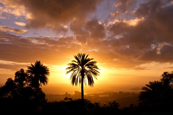 Puesta de sol tropical. Romántico. Vacaciones