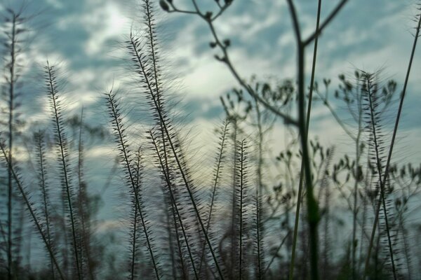 Beautiful landscape of nature against the sky