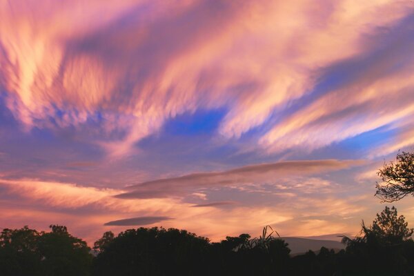 Coucher de soleil. Palette céleste