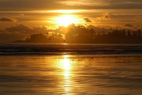 The reflection of the sun on the water at sunset