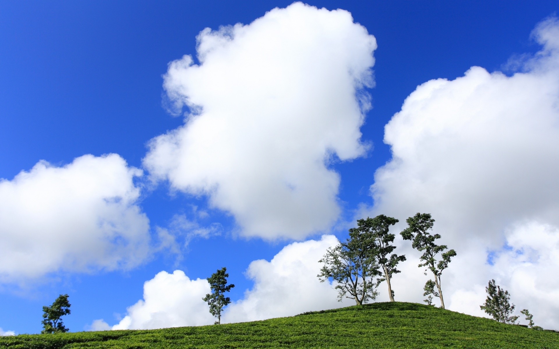 cielo naturaleza paisaje cielo hierba al aire libre verano buen tiempo árbol campo rural nube sol idilio