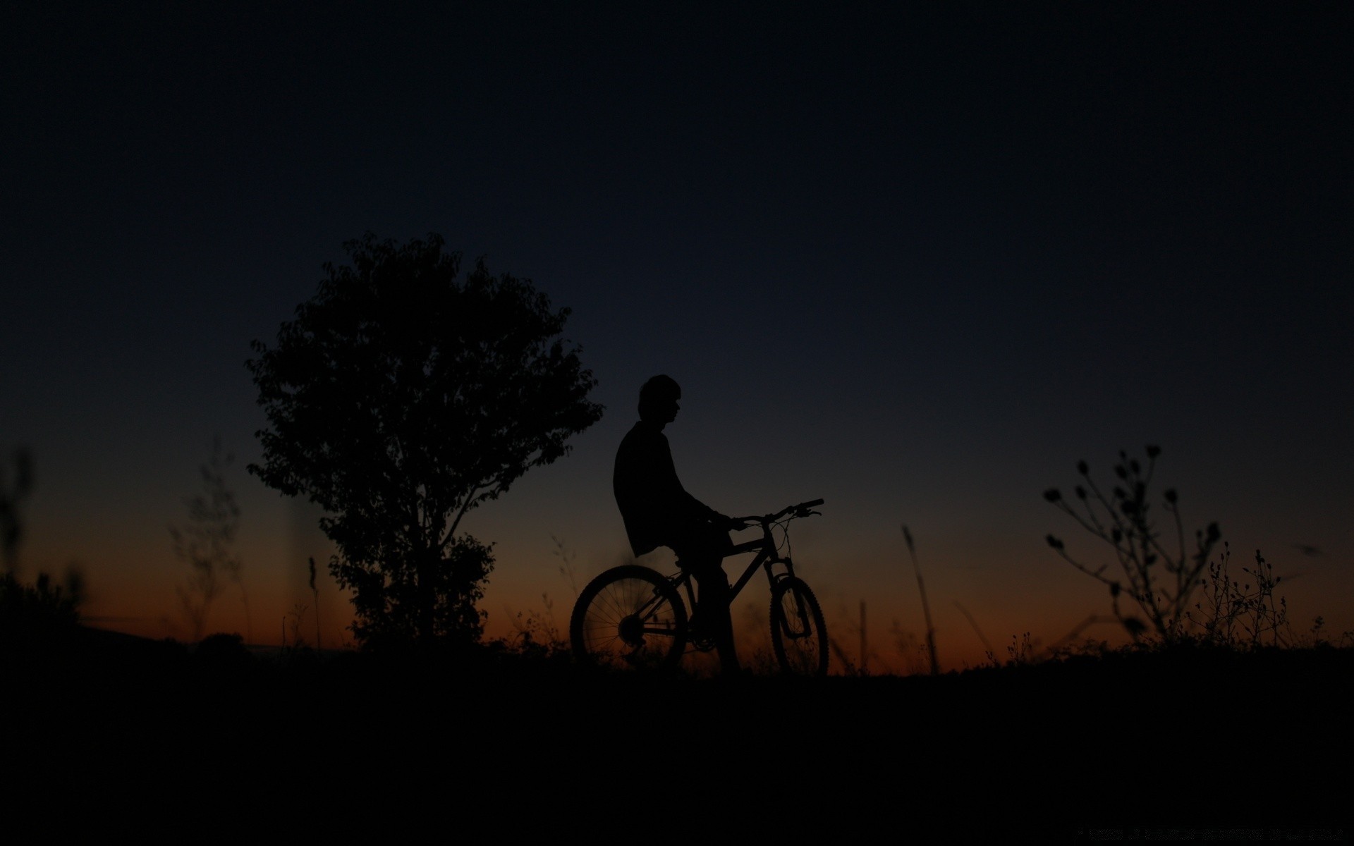 cielo silhouette illuminato tramonto alba crepuscolo sera paesaggio albero seduta cielo ombra ragazza da solo sole azione luce all aperto bicicletta