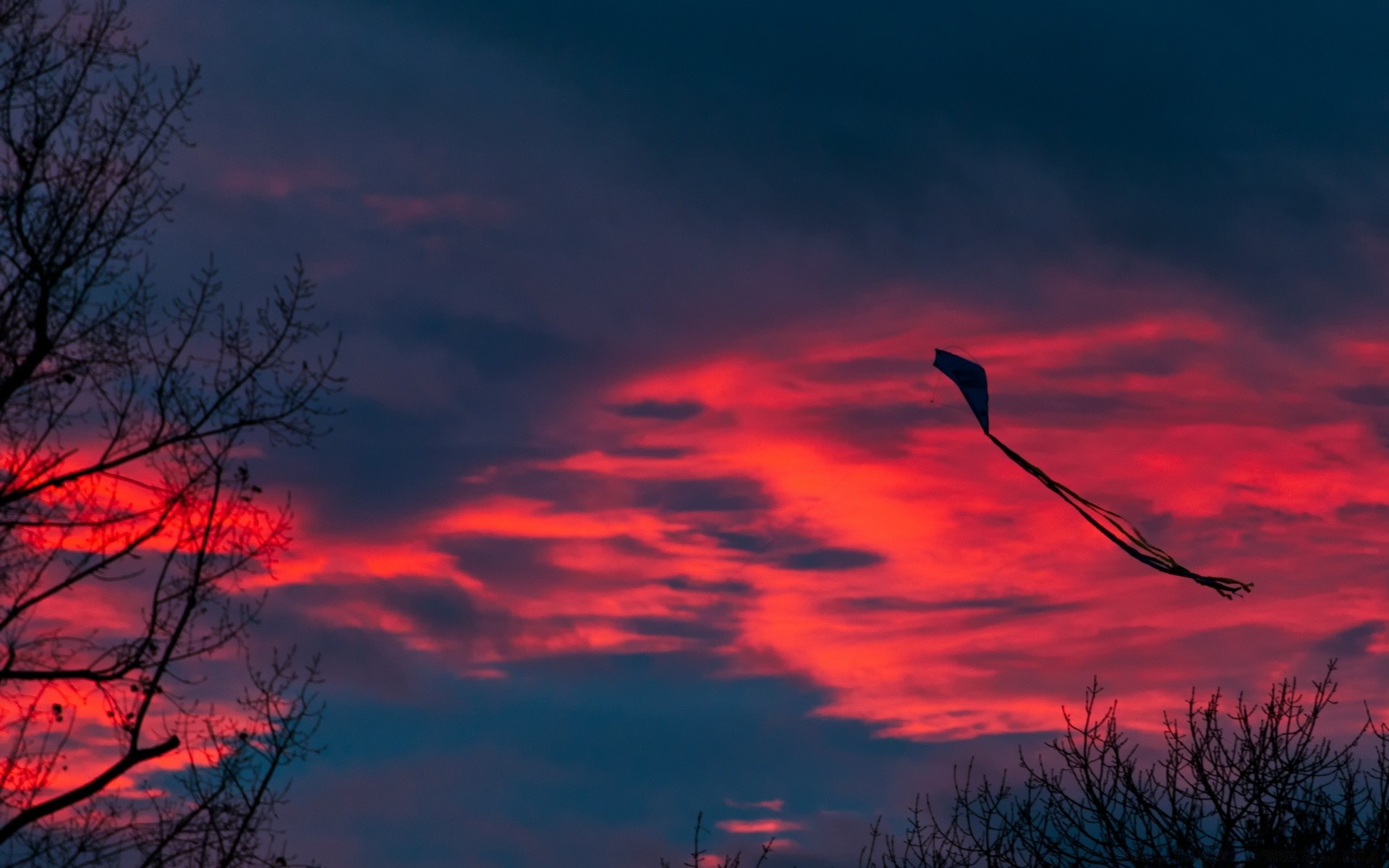 ciel coucher de soleil silhouette soir aube crépuscule ciel rétro-éclairé paysage à l extérieur nature arbre lumière soleil météo