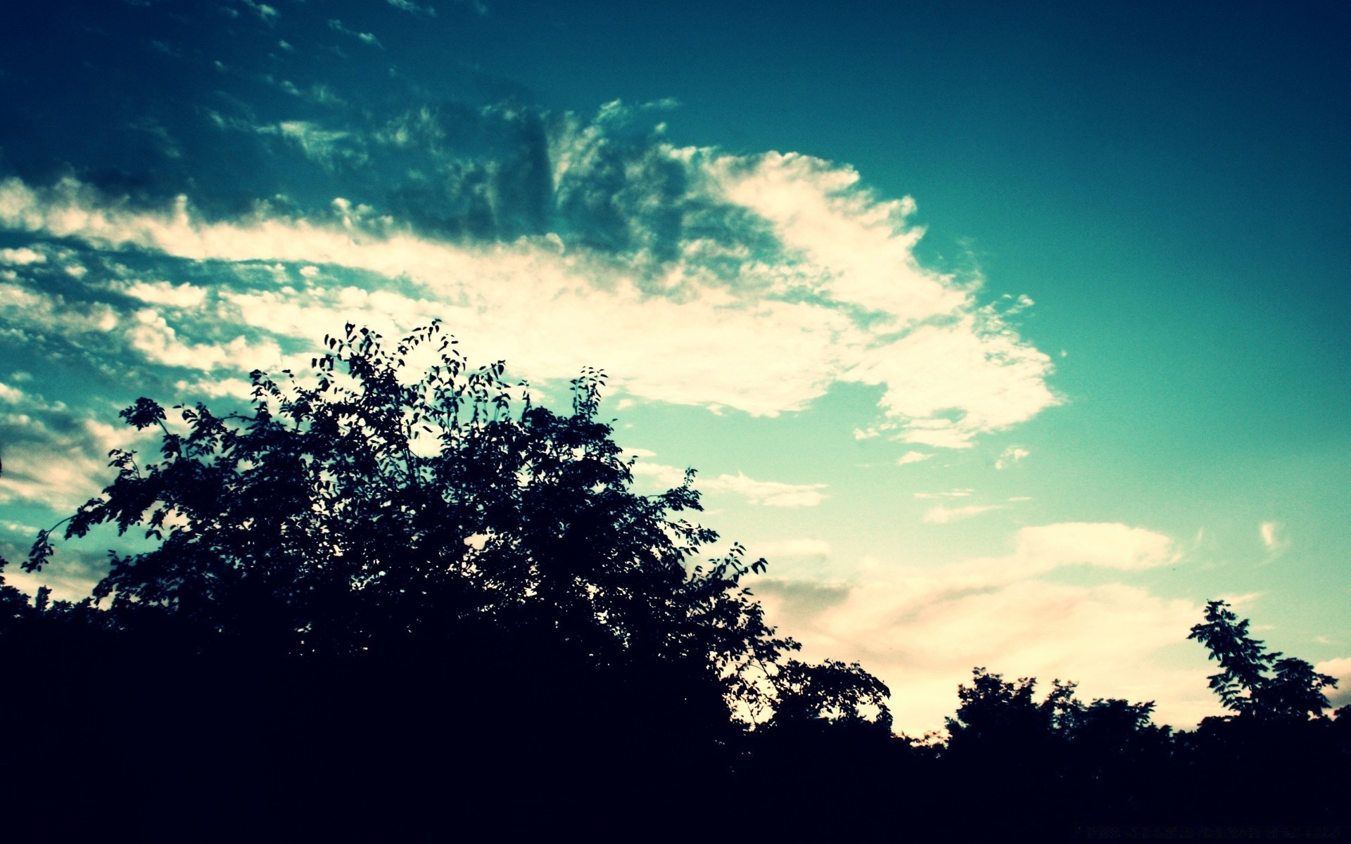 himmel baum landschaft himmel natur sonne im freien wetter dämmerung gutes wetter silhouette abend sonnenuntergang