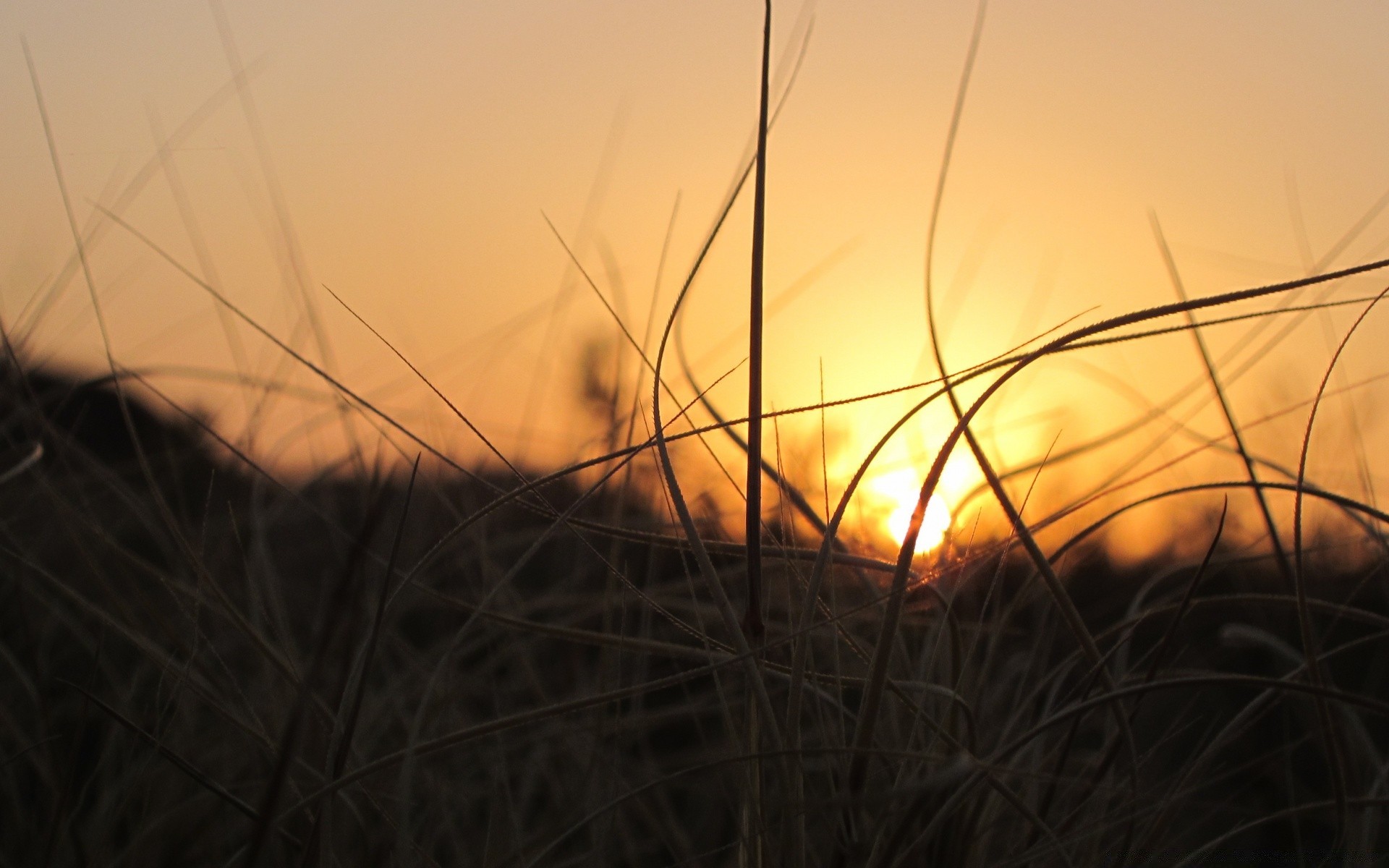 the sky sunset landscape dawn sun gold light field silhouette sky grass nature evening dusk farm backlit color beach hayfield