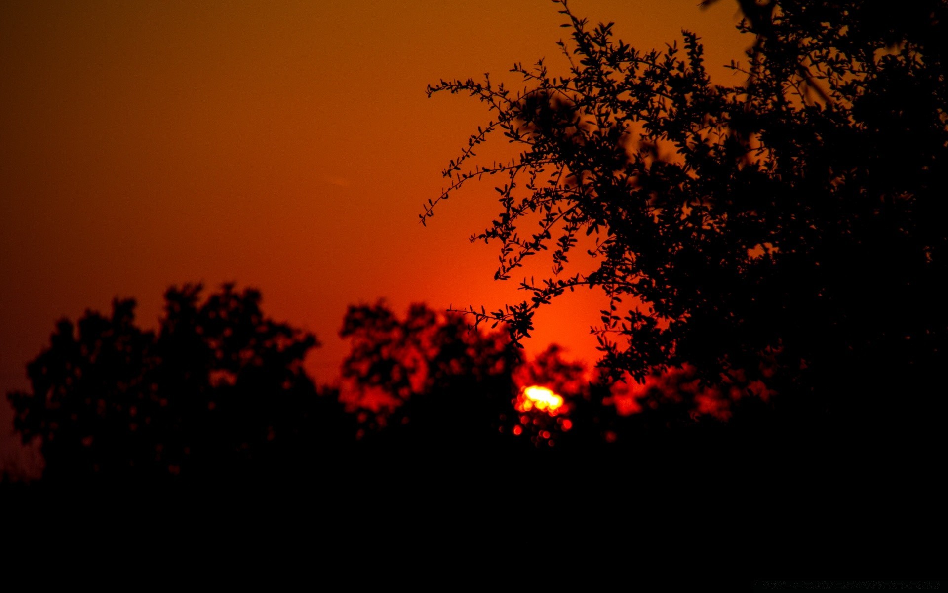 ciel silhouette coucher de soleil rétro-éclairé soir arbre aube lumière soleil crépuscule paysage automne ciel lune