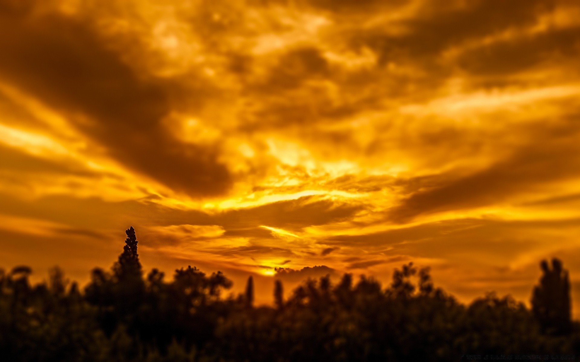 the sky sunset dawn evening dusk sun sky outdoors backlit nature landscape fair weather silhouette