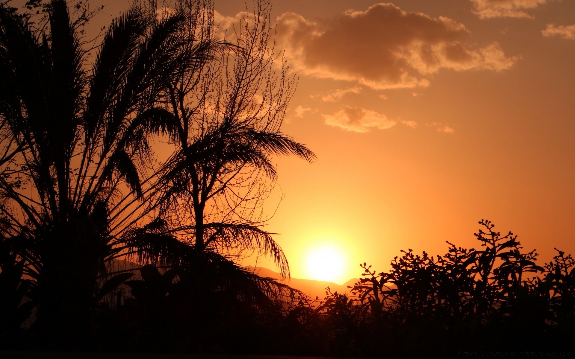 himmel sonnenuntergang dämmerung silhouette sonne abend hintergrundbeleuchtung baum dämmerung himmel landschaft natur licht gutes wetter im freien