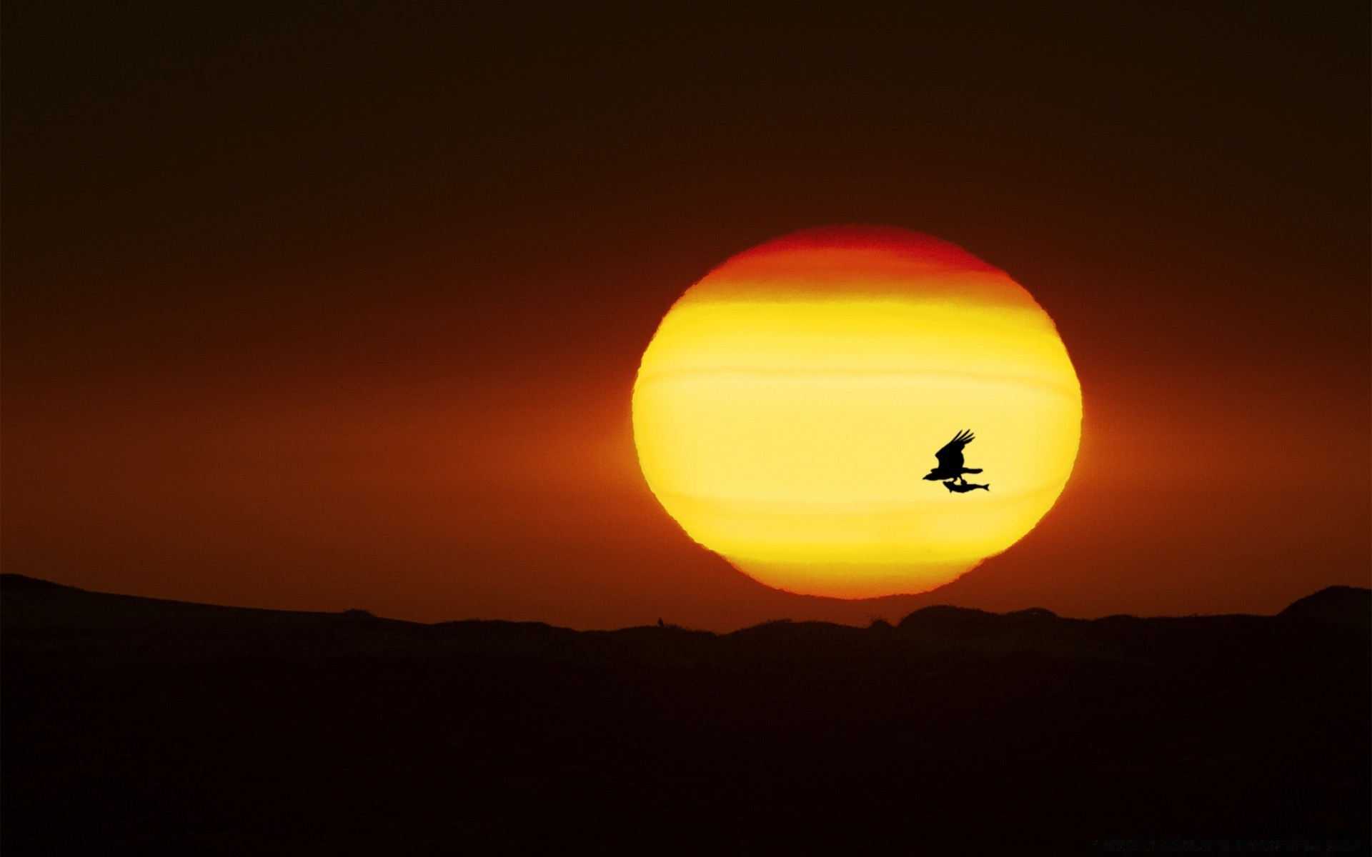 cielo tramonto crepuscolo sera alba sole luna cielo viaggi luce all aperto