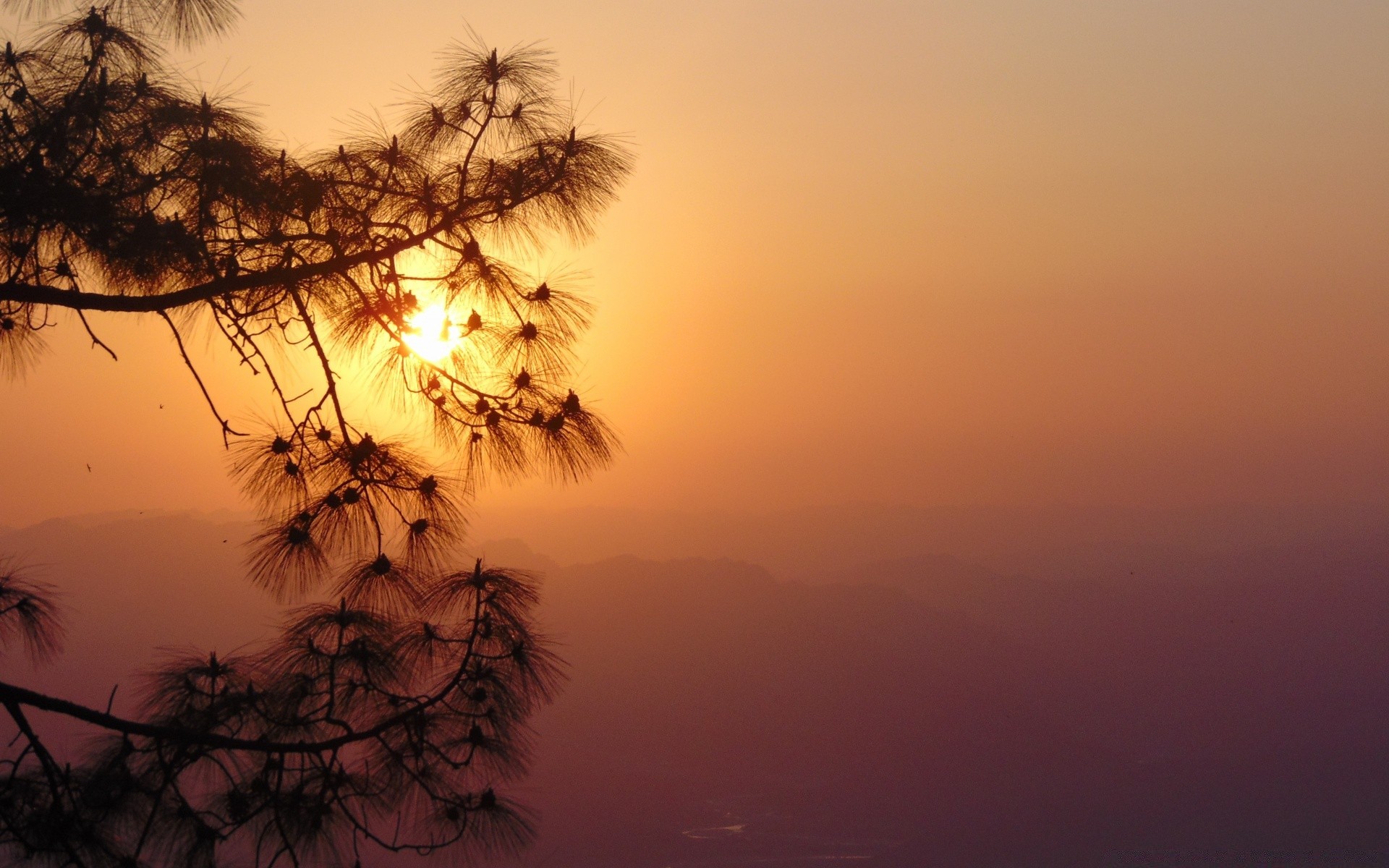 cielo puesta de sol amanecer noche silueta árbol crepúsculo paisaje iluminado sol luz cielo niebla naturaleza