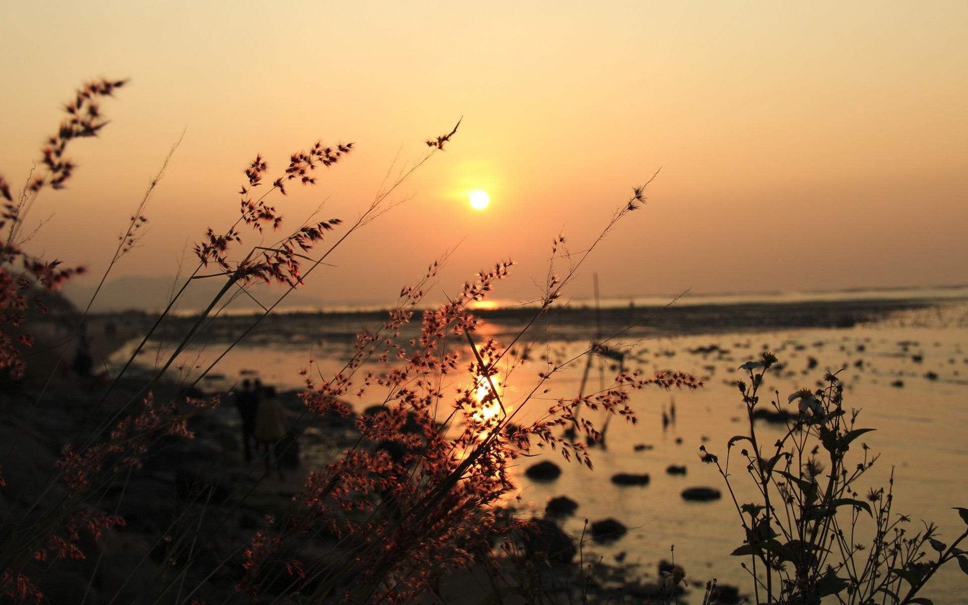 天空 日落 海滩 水 海 黎明 太阳 海洋 自然 景观 天空 海 晚上 黄昏 夏天 渔夫 好天气