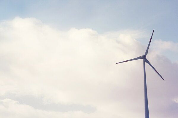 La varicela da electricidad al viento