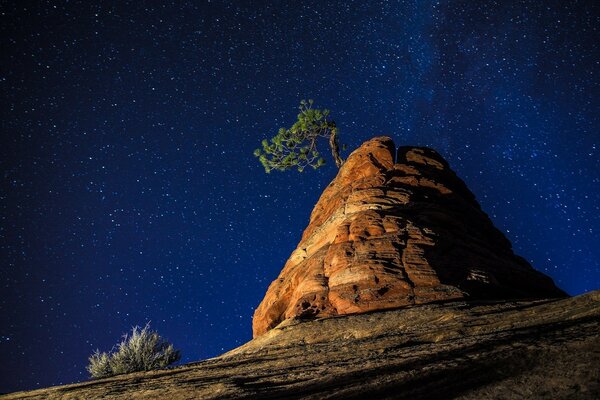 Hermoso cielo azul con una gran cantidad de estrellas