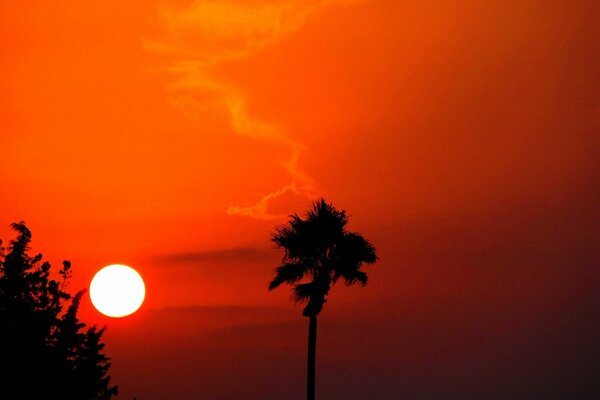 Silhouette of the sun in the sunset sky