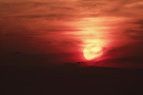 Cielo puesta de sol por la noche hermoso anochecer