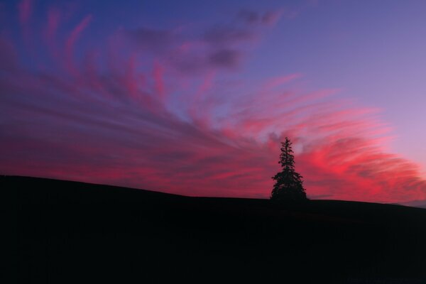 Ciel rose au coucher du soleil