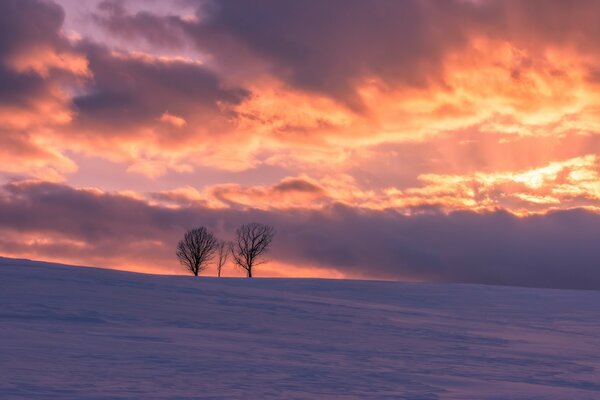 Malen Sie den Himmel am Abend bei Sonnenuntergang