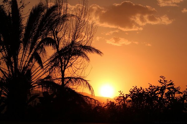 Silhouette du soleil dans le ciel à l heure de zakpta