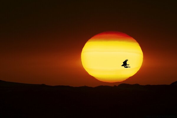 Cercle d or du soleil au coucher du soleil