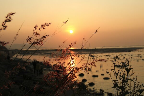 The sea and the reflection of the glowing sun