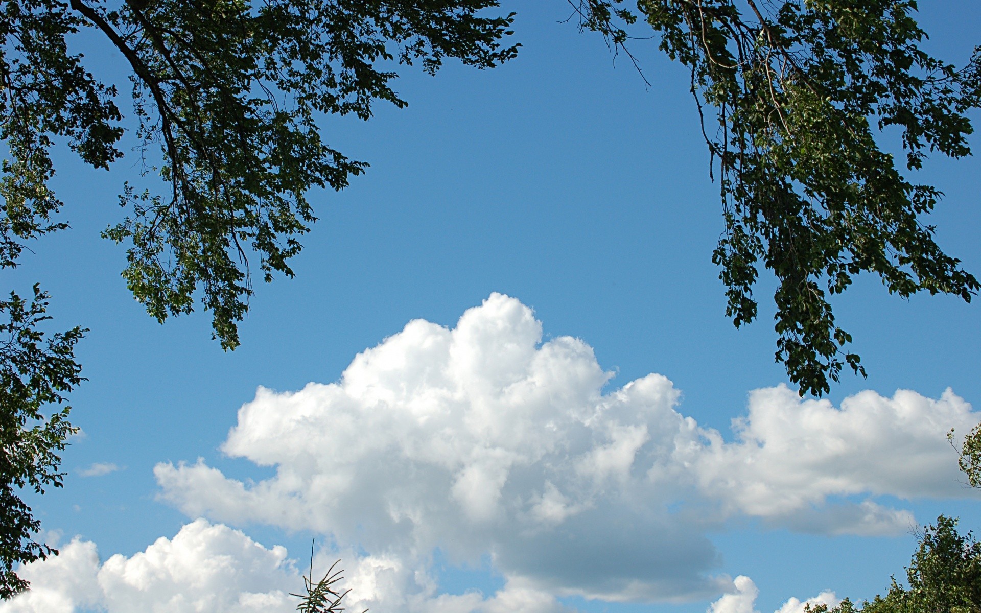 himmel natur baum himmel landschaft im freien sommer gutes wetter blatt sonne wetter holz medium hell tageslicht