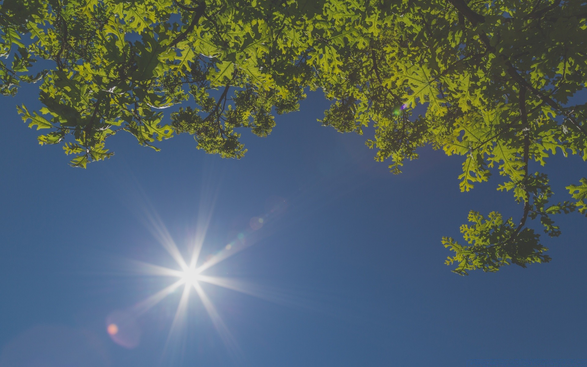 céu natureza área de trabalho céu sol bom tempo ao ar livre brilhante luz luz do dia