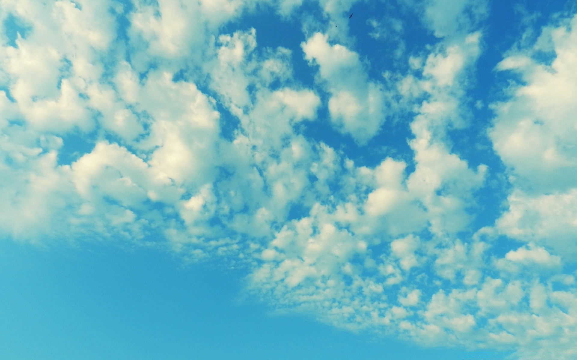 gökyüzü tüylü doğa yaz yüksek güzel hava hava durumu gökyüzü açık havada gün ışığı masaüstü gökyüzü güneş hava atmosfer uzay meteoroloji ışık parlak bulutluluk