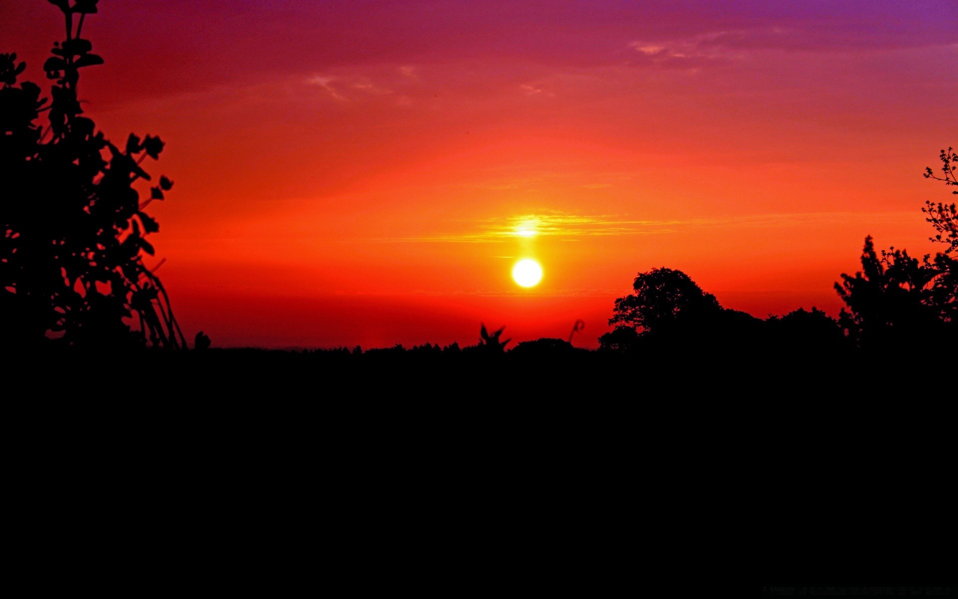 cielo tramonto silhouette alba sole sera crepuscolo illuminato albero paesaggio cielo natura luce bel tempo