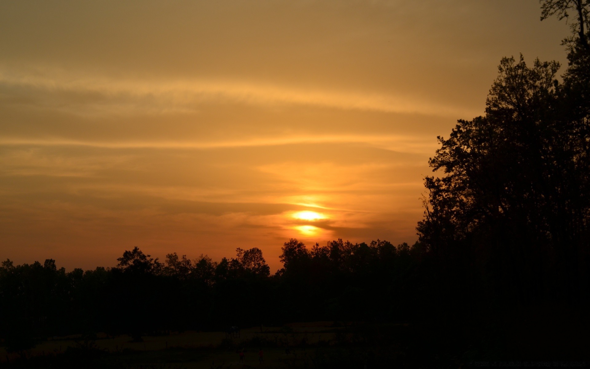 cielo tramonto alba sole sera crepuscolo paesaggio cielo natura nebbia illuminato silhouette all aperto bel tempo albero luce