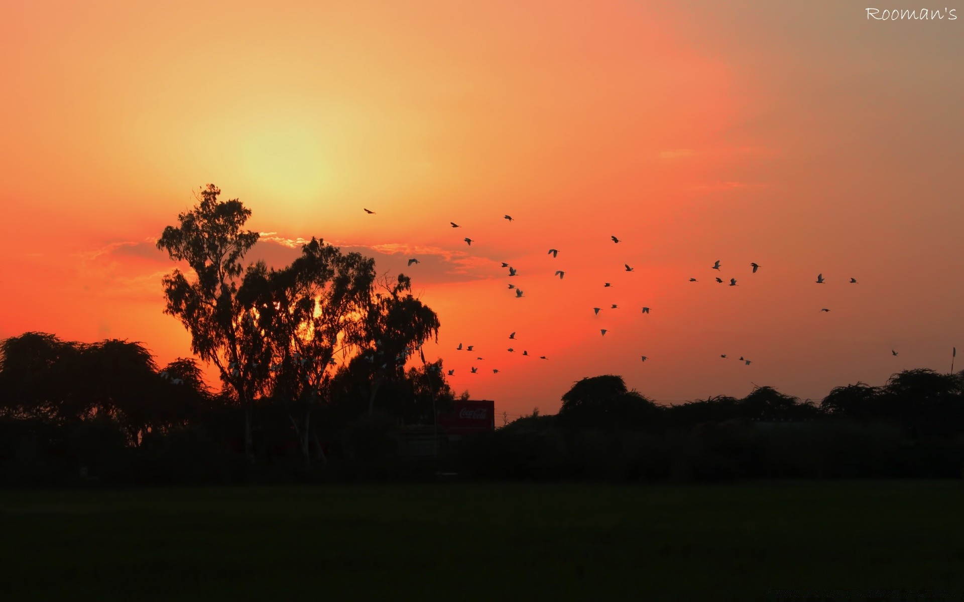 céu pôr do sol amanhecer natureza paisagem ao ar livre sol noite céu árvore crepúsculo bom tempo nevoeiro verão grama silhueta zona rural