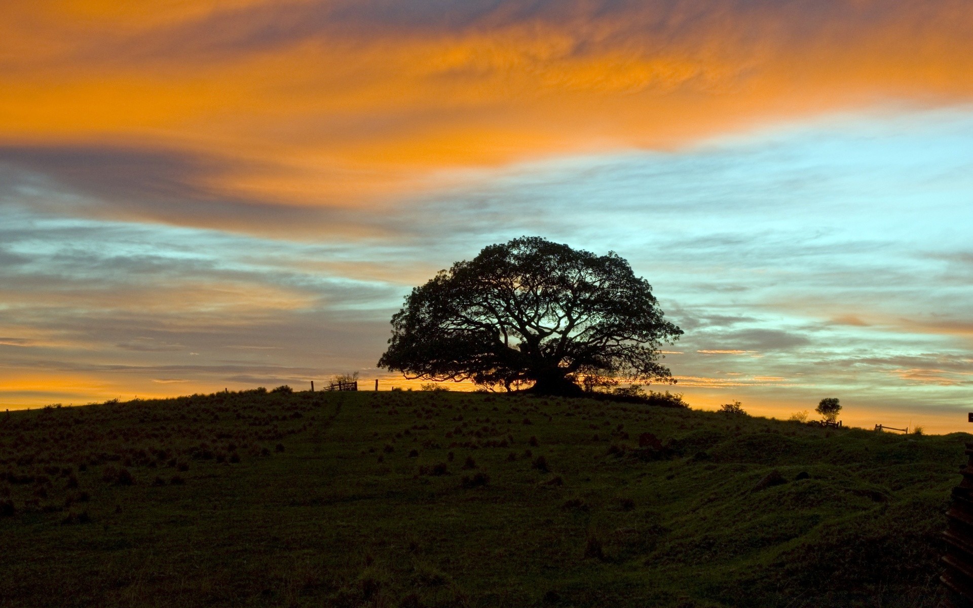 ciel coucher de soleil paysage aube soir ciel crépuscule nature soleil à l extérieur arbre herbe lumière