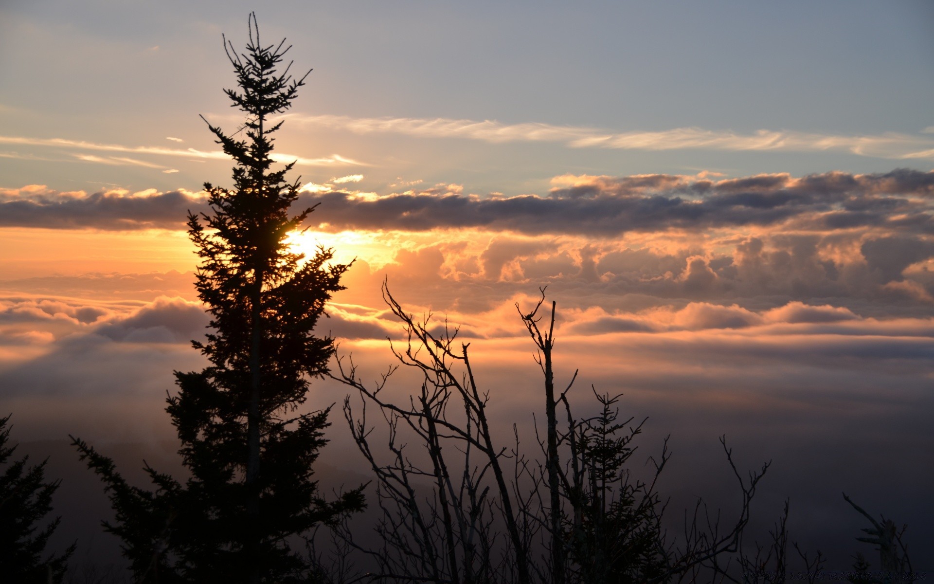 the sky sunset dawn tree nature outdoors sky sun landscape evening fog dusk winter fair weather silhouette