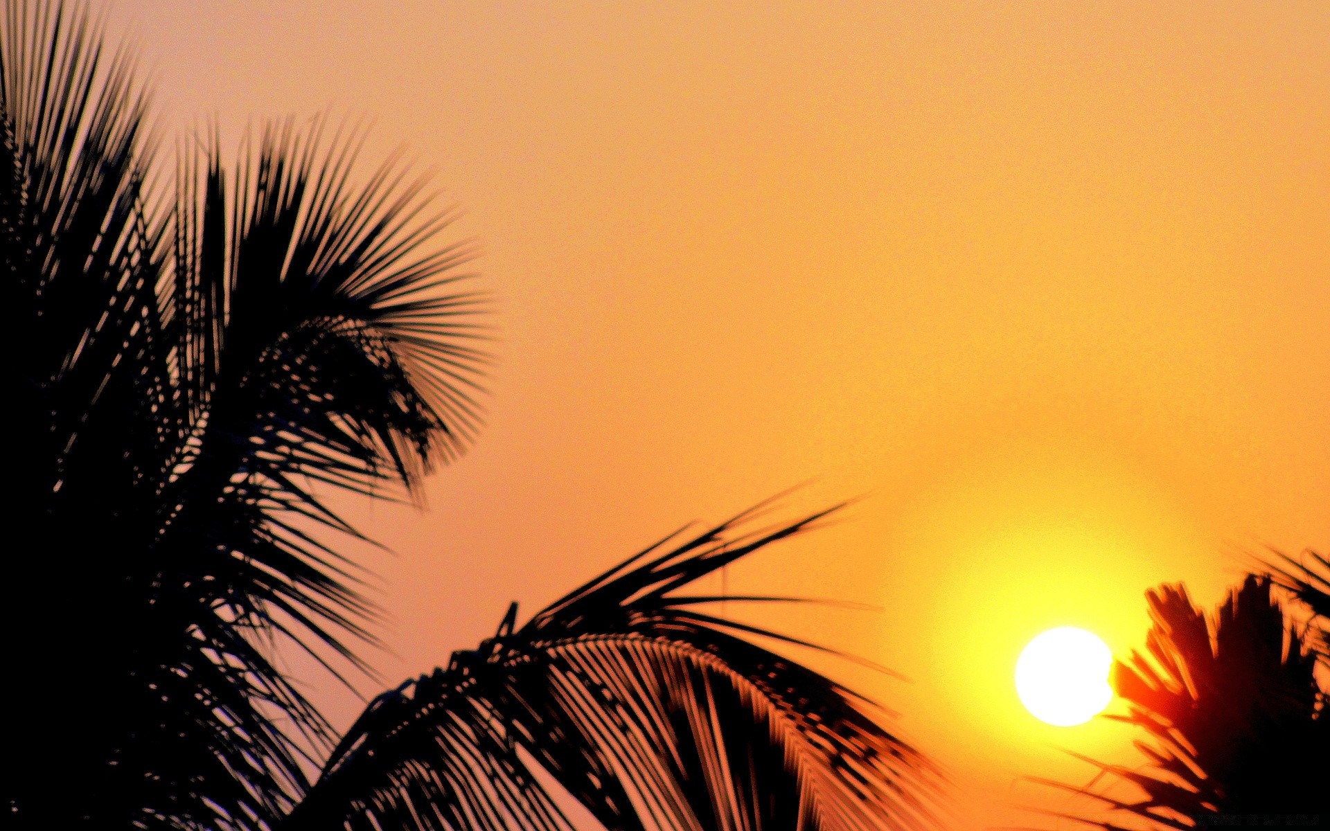 himmel sonnenuntergang sonne dämmerung abend dämmerung im freien hintergrundbeleuchtung silhouette himmel natur sommer gutes wetter tropisch strand