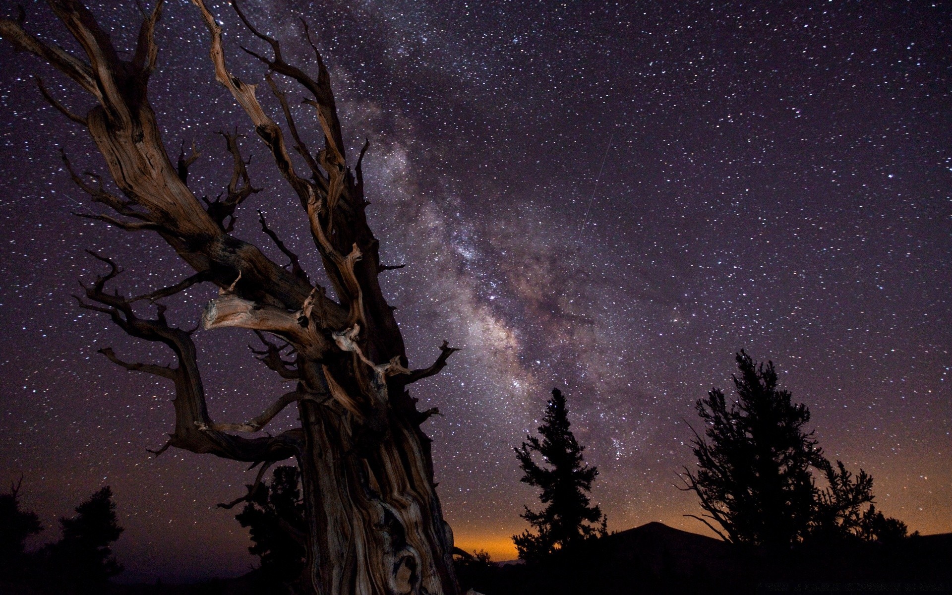 niebo księżyc drzewo sylwetka światło niebo ciemny krajobraz natura zima na zewnątrz astronomia zachód słońca wieczór przerażający zmierzch świt słońce katastrofa