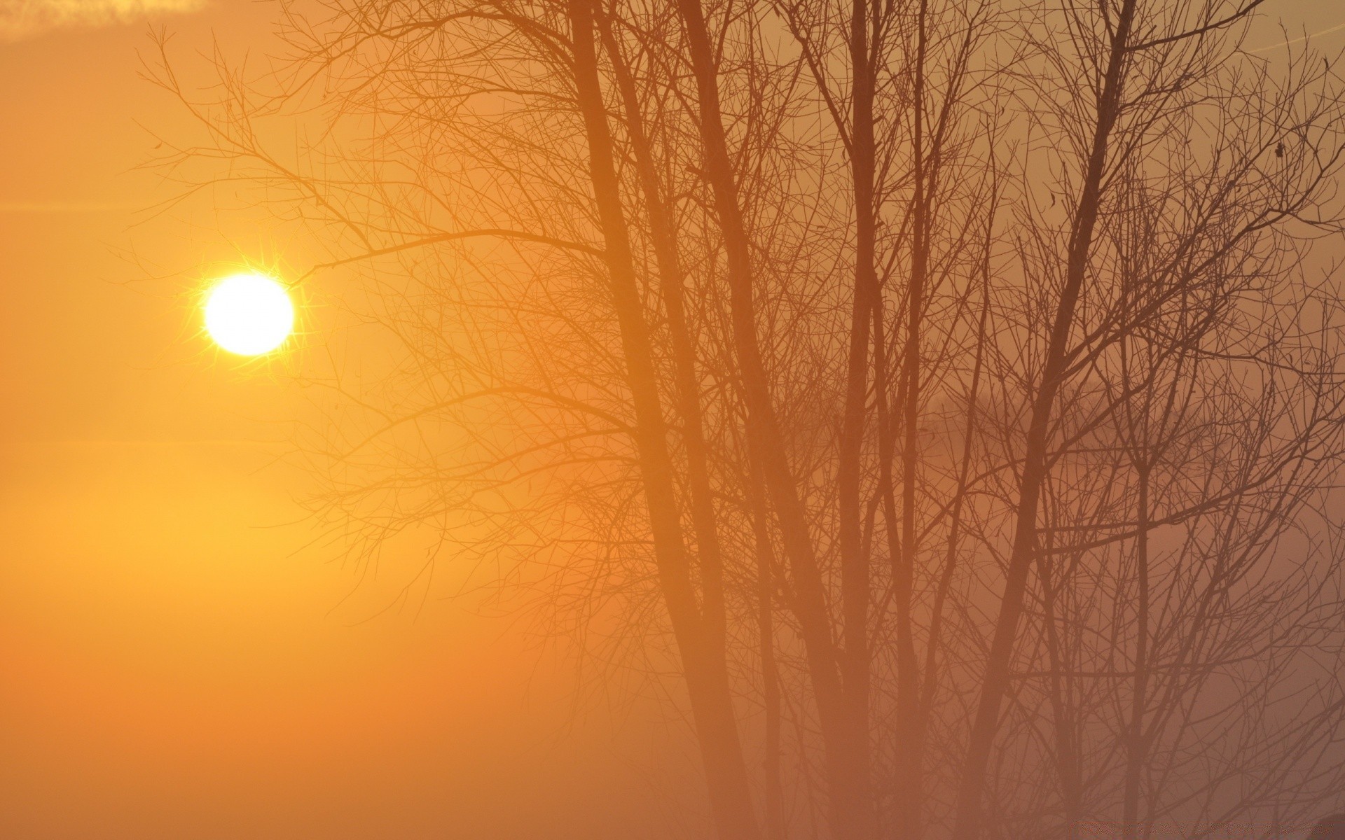 himmel sonnenuntergang dämmerung landschaft sonne abstrakt silhouette farbe natur wetter abend desktop baum licht nebel