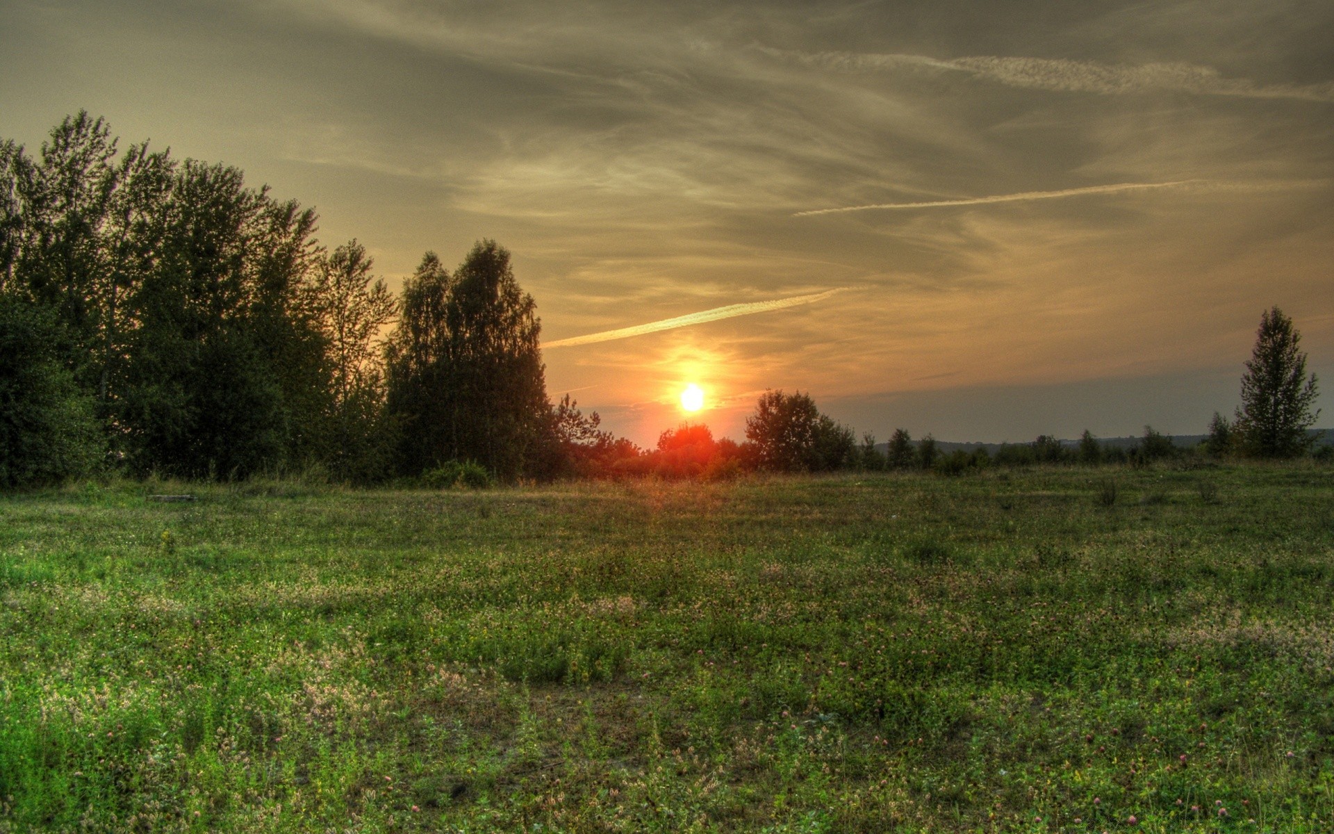 cielo paesaggio tramonto alba sole albero natura erba campo sera bel tempo luce cielo fieno rurale campagna fattoria estate