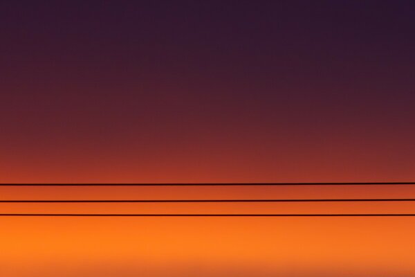 Wires on the background of the sunset sky