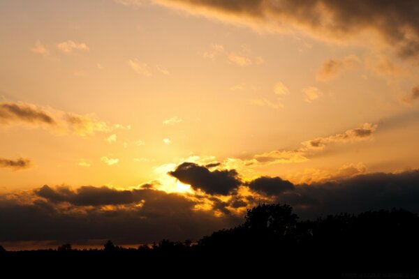 Amanhecer amarelo brilhante da natureza