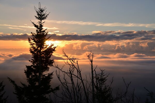 Natureza no fundo do amanhecer com nuvens