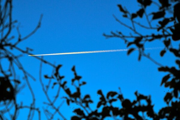 The silhouette of an airplane through the trees