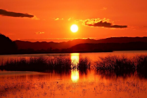 Sonnenuntergang über Teich und Feld