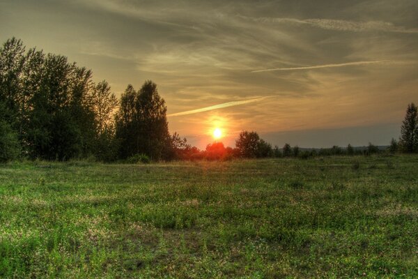 Wüstengebiet Ich bin bei einem hellen Sonnenuntergang