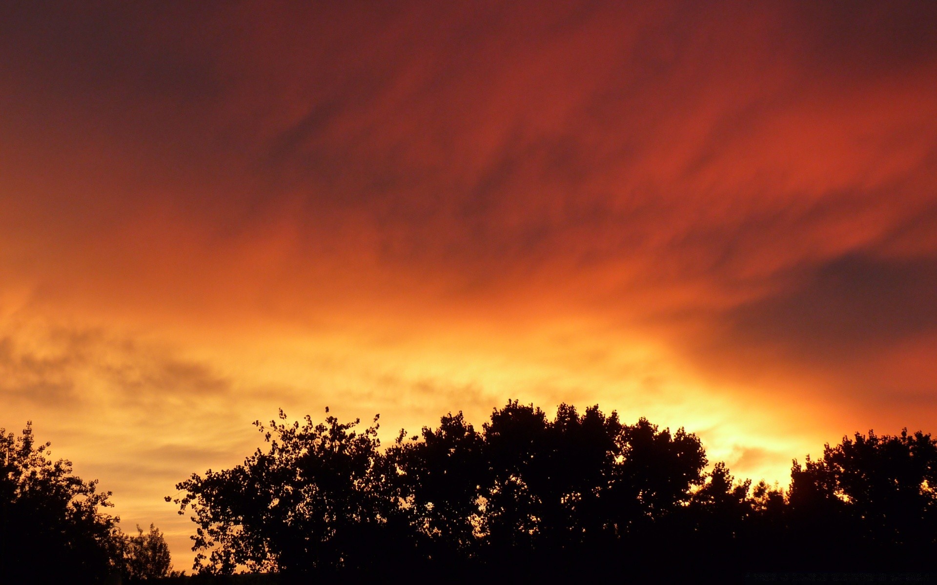 cielo puesta de sol amanecer noche sol crepúsculo cielo silueta naturaleza paisaje al aire libre iluminado buen tiempo